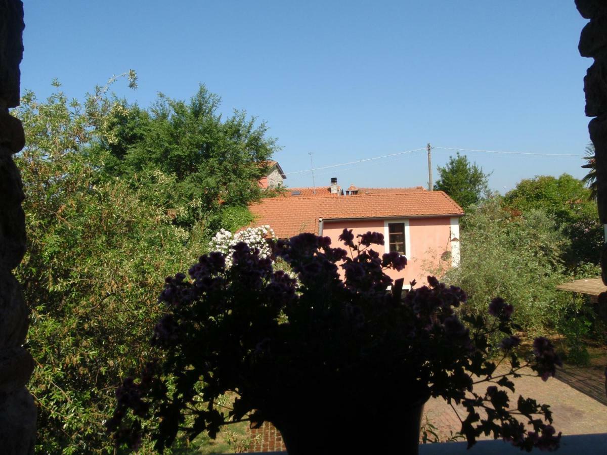 Rose Cottage Tuscany 福斯迪诺沃 外观 照片